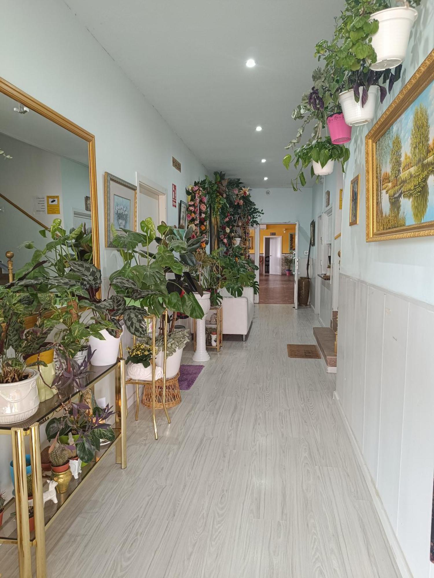 Hostal Fuente Del Pino Хумілья Екстер'єр фото